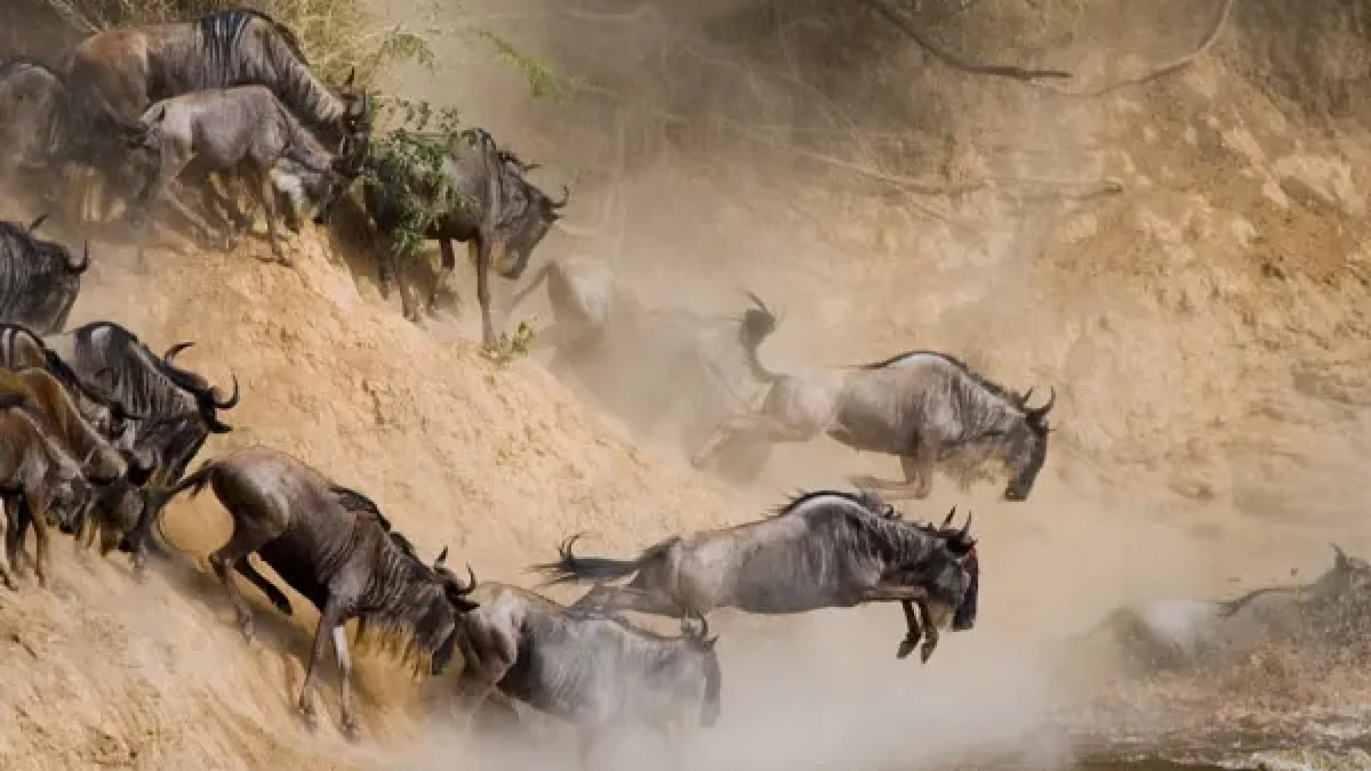 7-days-wildebeest-migration