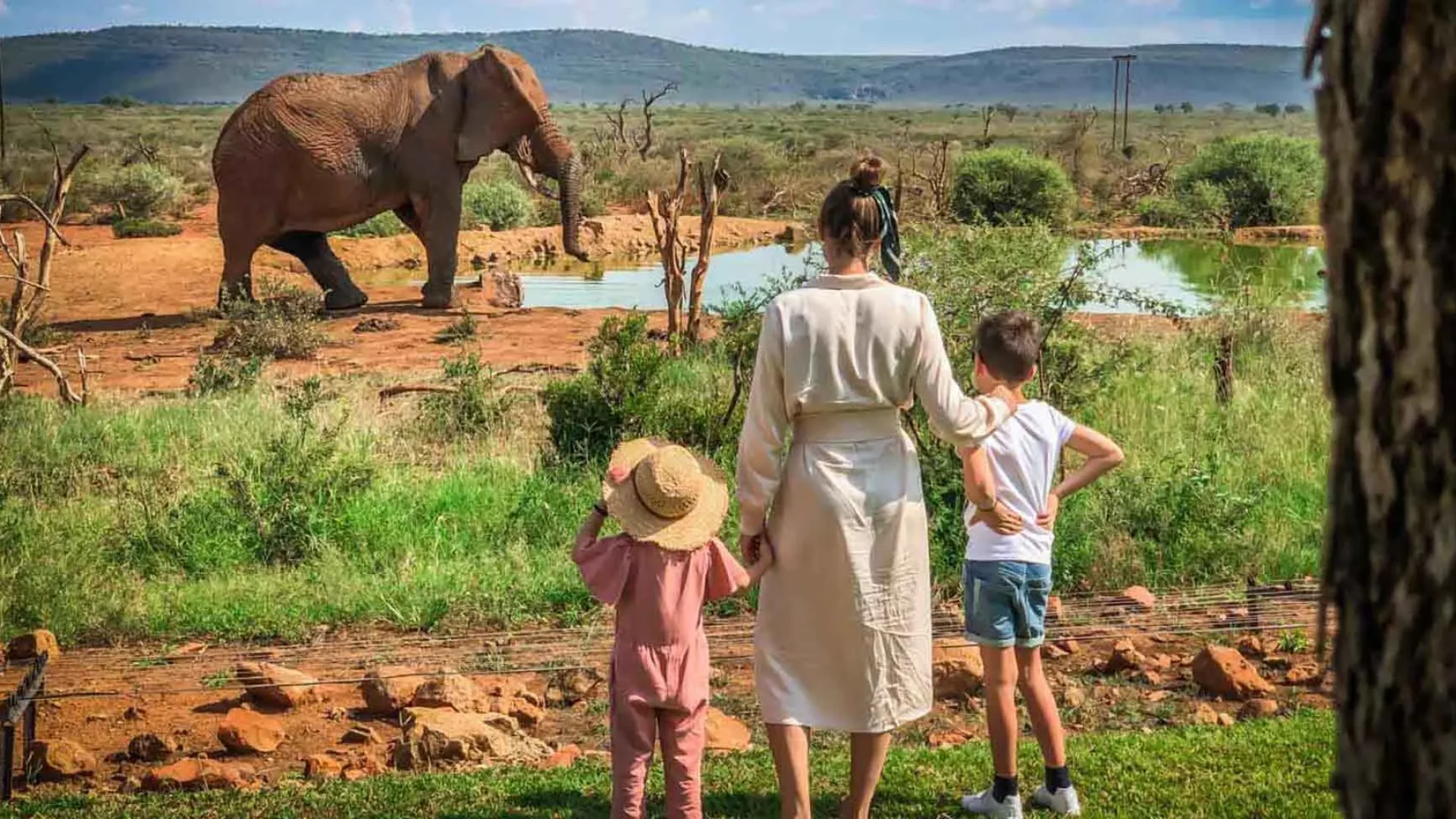 tanzania family safari